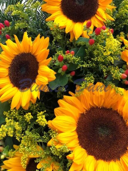 Sonnenblumen Kranz 2/3