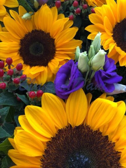 Sonnenblumen Kranz voll