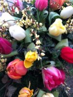 Tulpen Kranz 2/3
