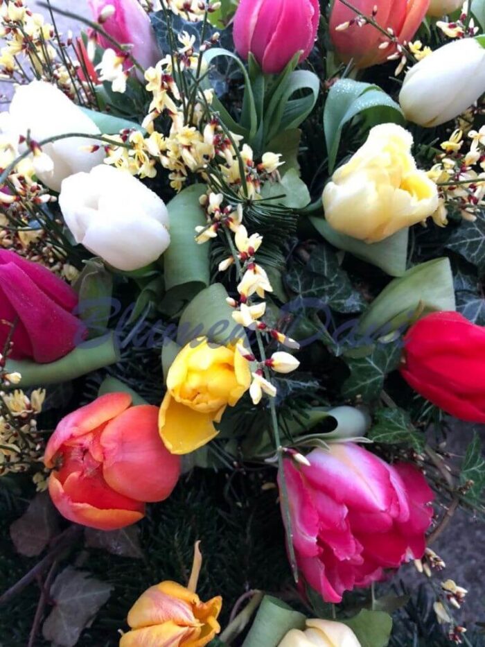 Tulpen Kranz 2/3