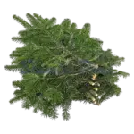 Reisig